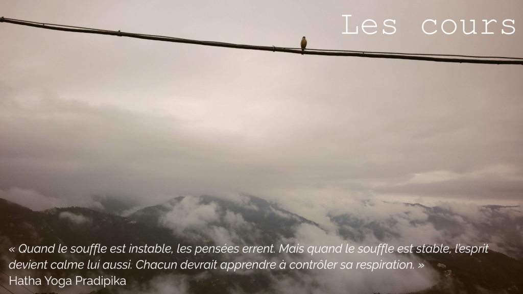 Les cours-Shakti Yoga Un oiseau sur un fil, dans un paysage de montagne en Inde