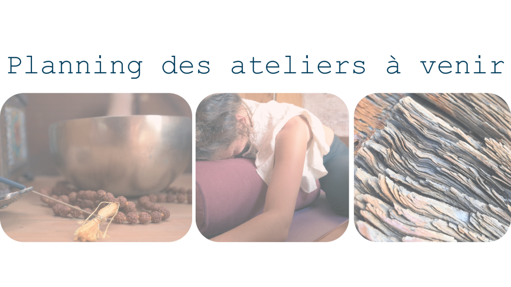 Clémentine, professeure de Yoga de la Manche vous propose des ateliers de Hatha et Yin yoga